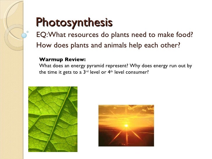 Photosynthesis