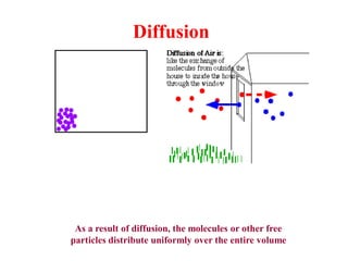 Diffusion
As a result of diffusion, the molecules or other free
particles distribute uniformly over the entire volume
 