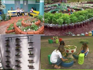 Escolas Sustentáveis
 