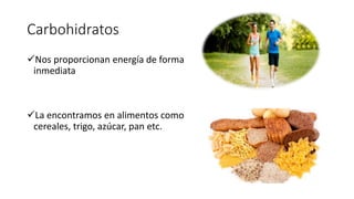 Carbohidratos
Nos proporcionan energía de forma
inmediata
La encontramos en alimentos como
cereales, trigo, azúcar, pan etc.
 
