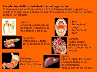 Ppt Efecto Del Alcohol En El Sistema Nervioso ppt Ppt Efecto Del Alcohol En El Sistema Nervioso ppt