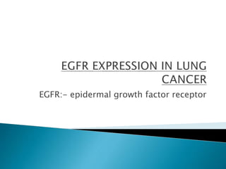 EGFR:- epidermal growth factor receptor
 