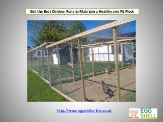 Get the Best Chicken Runs to Maintain a Healthy and Fit Flock
http://www.eggshellonline.co.uk
 