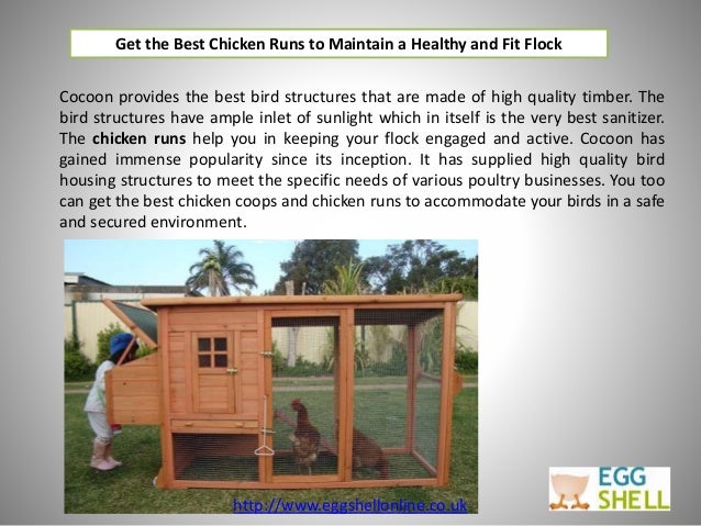 Get The Best Chicken Runs To Maintain A Healthy And Fit Flock