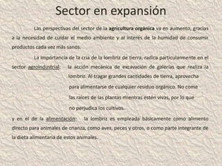 Sector en expansión
          Las perspectivas del sector de la agricultura orgánica va en aumento, gracias
a la necesidad de cuidar el medio ambiente y al interés de la humidad de consumir
productos cada vez más sanos.
          La importancia de la cría de la lombriz de tierra, radica particularmente en el
sector agroindustrial:   la acción mecánica de excavación de galerías que realiza la
                         lombriz. Al tragar grandes cantidades de tierra, aprovecha
                         para alimentarse de cualquier residuo orgánico. No come
                         las raíces de las plantas mientras estén vivas, por lo que
                         no perjudica los cultivos.
y en el de la alimentación:     la lombriz es empleada básicamente como alimento
directo para animales de crianza, como aves, peces y otros, o como parte integrante de
la dieta alimentaria de estos animales.
 