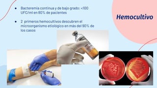 Hemocultivo
● Bacteremia continua y de bajo grado: <100
UFC/ml en 80% de pacientes
● 2 primeros hemocultivos descubren el
microorganismo etiológico en más del 90% de
los casos
 