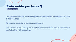 Endocarditis por ﬁebre Q
Coxiella burnetii
Doxiciclina combinada con trimetoprima-sulfametoxazol o rifampicina durante
al menos 4 años
El reemplazo valvular a menudo es necesario
Doxiciclina e hidroxicloroquina durante 18 meses es eﬁcaz para la endocarditis
por ﬁebre Q en válvulas nativas
 
