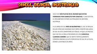 SOLO HAY DOS PLAYAS EN EL MUNDO QUE ESTÁN
FORMADAS POR COMPLETO POR CONCHAS, Y UNA ESTÁ EN
EL DESHABITADO ESTADO AUSTRALIANO DE WESTERN
AUSTRALIA.
A LO LARGO DE SUS MÁS 60 KILÓMETROS, EL SOL SE REFLEJA
EN LAS CONCHAS HACIENDO MUY DIFÍCIL RESISTIR SIN GAFAS
DE SOL EN ESTE CEMENTERIO DE FÓSILES; YA QUE LOS RESTOS
QUE HAY EN LA ORILLA PROVIENEN DE UNA CARACOLA
LLAMADA CARDIID, QUE SE SIENTE PARTICULARMENTE
CÓMODA GRACIAS AL ALTO PORCENTAJE DE SAL DE LA PLAYA;
DONDE LLEVA MILES DE AÑOS.
 