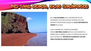 EN LA ISLA DE RÁBIDA, EN EL ARCHIPIÉLAGO DE LAS
GALÁPAGOS, HAY UNA PLAYA MUY ESPECIAL CON UNA
ARENA DE COLOR ROJIZO, GRACIAS AL ALTO CONTENIDO EN
HIERRO DE LA LAVA.
CON EL NOMBRE DEL CONVENTO ONUBENSE
DONDE CRISTÓBAL COLÓN DEJÓ A SU HIJO DURANTE SU
PRIMER VIAJE A AMÉRICA, LA ISLA Y SU PARTICULAR LAGO DE
AGUA SALADA ES EL REFUGIO DE FLAMENCOS Y DE UNA
GRAN COLONIA DE LEONES DE MAR.
 