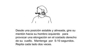 Desde una posición estable y alineada, gire su
mentón hacia su hombro izquierdo para
provocar una elongación en el costado derecho
de su cuello. Mantenga por 5-10 segundos.
Repita cada lado dos veces.
 