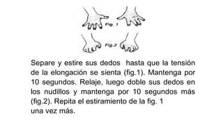Separe y estire sus dedos hasta que la tensión
de la elongación se sienta (fig.1). Mantenga por
10 segundos. Relaje, luego doble sus dedos en
los nudillos y mantenga por 10 segundos más
(fig.2). Repita el estiramiento de la fig. 1
una vez más.
 