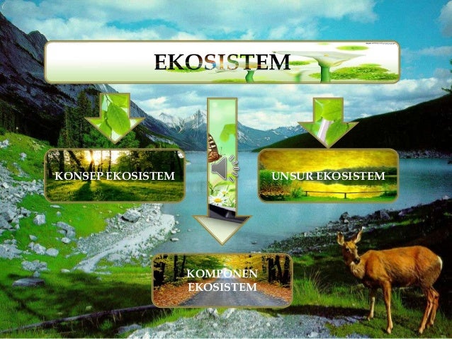 Ppt ekologi (ms.2010) Ppt ekologi (ms.2010)