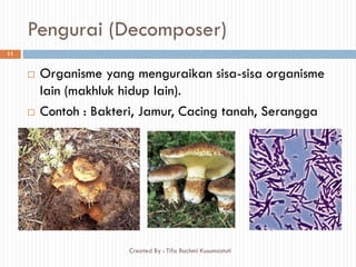Pengurai (Decomposer)
 Organisme yang menguraikan sisa-sisa organisme
lain (makhluk hidup lain).
 Contoh : Bakteri, Jamur, Cacing tanah, Serangga
11
Created By : Tifa Rachmi Kusumastuti
 
