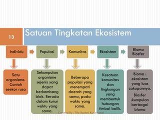 Satuan Tingkatan Ekosistem
Individu Populasi Komunitas Ekosistem Bioma
Biosfer
Satu
organisme.
Contoh
seekor rusa
Sekumpulan
organisme
sejenis yang
dapat
berkembang
biak. Berada
dalam kurun
waktu yang
sama.
Beberapa
populasi yang
menempati
daerah yang
sama, pada
waktu yang
sama.
Kesatuan
komunitas
dan
lingkungan
yang
membentuk
hubungan
timbal balik.
Bioma :
ekosistem
yang luas
cakupannya.
Biosfer
:kumpulan
berbagai
bioma
13
Created By : Tifa Rachmi Kusumastuti
 