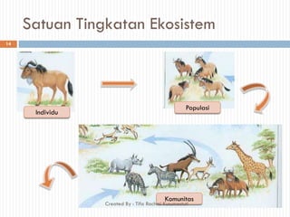 Satuan Tingkatan Ekosistem
Individu
Populasi
Komunitas
14
Created By : Tifa Rachmi Kusumastuti
 