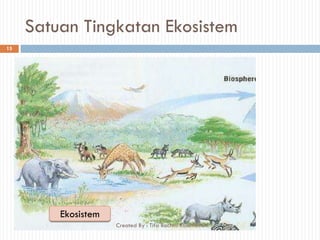Satuan Tingkatan Ekosistem
Ekosistem
15
Created By : Tifa Rachmi Kusumastuti
 