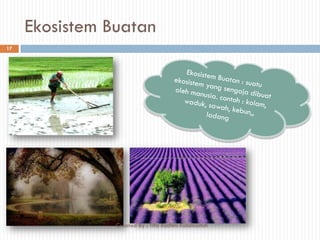 Ekosistem Buatan
17
Created By : Tifa Rachmi Kusumastuti
 