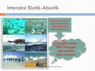 Interaksi Biotik-Abiotik
Habitat berbeda
akan ditinggali
oleh makhluk
hidup berbeda
Tempat yang cocok
bagi makhuk hidup
untuk melakukan
aktivitas hidupnya
21
Created By : Tifa Rachmi Kusumastuti
 