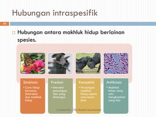 Hubungan intraspesifik
 Hubungan antara makhluk hidup berlainan
spesies.
Simbiosis
• Cara hidup
bersama
(interaksi)
dua makhluk
hidup
Predasi
• Interaksi
pemangaa
dan yang
dimangsa
Kompetisi
• Persaingan
makhluk
hidup sejenis
atau beda
jenis
Antibiosis
• Makhluk
hidup yang
satu
menghambat
yang lain
24
Created By : Tifa Rachmi Kusumastuti
 