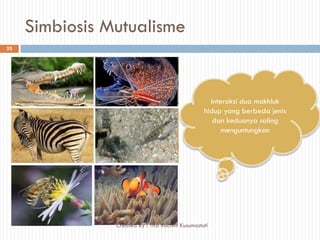 Simbiosis Mutualisme
Interaksi dua makhluk
hidup yang berbeda jenis
dan keduanya saling
menguntungkan
25
Created By : Tifa Rachmi Kusumastuti
 