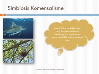 Simbiosis Komensalisme
Interaksi dua makhluk hidup
yang berbeda jenis satu
mendapatkan keuntungan,
yang satu tidak untung maupun
rugi
26
Created By : Tifa Rachmi Kusumastuti
 