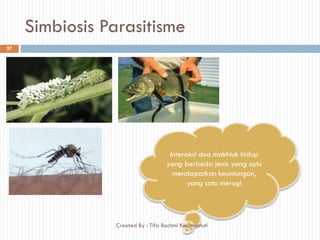 Simbiosis Parasitisme
Interaksi dua makhluk hidup
yang berbeda jenis yang satu
mendapatkan keuntungan,
yang satu merugi
27
Created By : Tifa Rachmi Kusumastuti
 