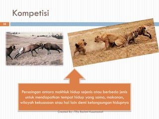 Kompetisi
Persaingan antara makhluk hidup sejenis atau berbeda jenis
untuk mendapatkan tempat hidup yang sama, makanan,
wilayah kekuasaan atau hal lain demi kelangsungan hidupnya
28
Created By : Tifa Rachmi Kusumastuti
 