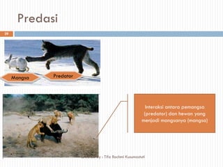 Predasi
Interaksi antara pemangsa
(predator) dan hewan yang
menjadi mangsanya (mangsa)
PredatorMangsa
29
Created By : Tifa Rachmi Kusumastuti
 