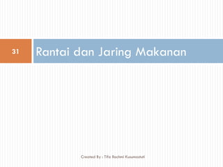 Rantai dan Jaring Makanan31
Created By : Tifa Rachmi Kusumastuti
 
