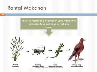 Rantai Makanan
Peristiwa memakan dan dimakan yang membentuk
rangkaian lurus dan tidak bercabang.
Contoh :
32
Created By : Tifa Rachmi Kusumastuti
 