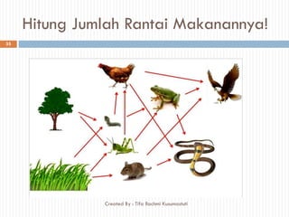 Hitung Jumlah Rantai Makanannya!
35
Created By : Tifa Rachmi Kusumastuti
 