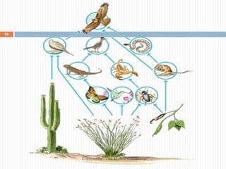 36
Created By : Tifa Rachmi Kusumastuti
 