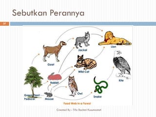 Sebutkan Perannya
37
Created By : Tifa Rachmi Kusumastuti
 