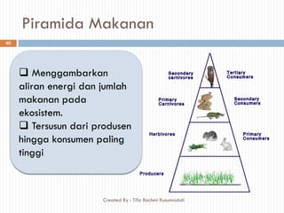 Piramida Makanan
 Menggambarkan
aliran energi dan jumlah
makanan pada
ekosistem.
 Tersusun dari produsen
hingga konsumen paling
tinggi
40
Created By : Tifa Rachmi Kusumastuti
 