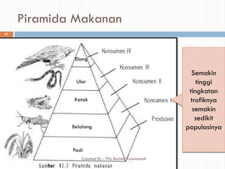 Piramida Makanan
Padi
Padi
Katak
Belalang
Elang
Ular
Semakin
tinggi
tingkatan
trofiknya
semakin
sedikit
populasinya
41
Created By : Tifa Rachmi Kusumastuti
 