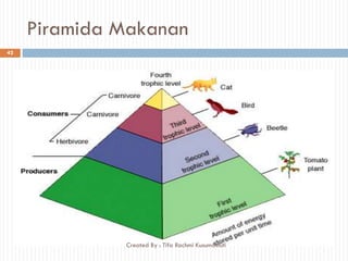 Piramida Makanan
42
Created By : Tifa Rachmi Kusumastuti
 