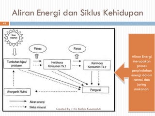 Aliran Energi dan Siklus Kehidupan
Aliran Energi
merupakan
proses
perpindahan
energi dalam
rantai dan
jaring
makanan.
43
Created By : Tifa Rachmi Kusumastuti
 