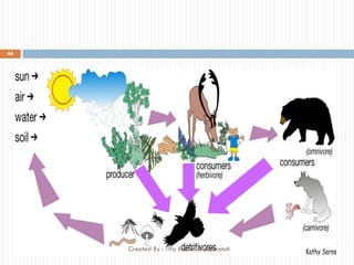 44
Created By : Tifa Rachmi Kusumastuti
 