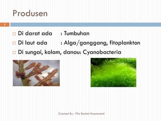 Produsen
 Di darat ada : Tumbuhan
 Di laut ada : Alga/ganggang, fitoplankton
 Di sungai, kolam, danau: Cyanobacteria
5
Created By : Tifa Rachmi Kusumastuti
 