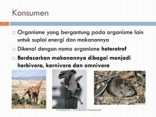 Konsumen
 Organisme yang bergantung pada organisme lain
untuk suplai energi dan makanannya
 Dikenal dengan nama organisme heterotrof
 Berdasarkan makanannya dibagai menjadi
herbivora, karnivora dan omnivora
7
Created By : Tifa Rachmi Kusumastuti
 