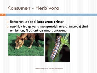 Konsumen - Herbivora
 Berperan sebagai konsumen primer
 Makhluk hidup yang memperoleh energi (makan) dari
tumbuhan, fitoplankton atau ganggang.
8
Created By : Tifa Rachmi Kusumastuti
 
