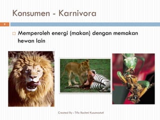 Konsumen - Karnivora
 Memperoleh energi (makan) dengan memakan
hewan lain
9
Created By : Tifa Rachmi Kusumastuti
 