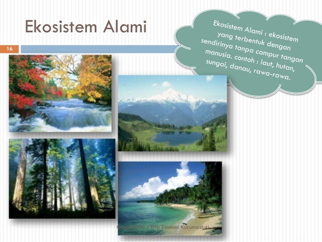 Ppt ekosistem kelas 7