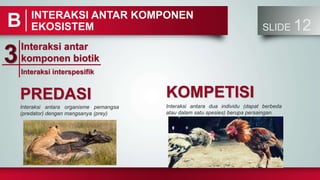 INTERAKSI ANTAR KOMPONEN
EKOSISTEM SLIDE 12
B
Interaksi antar
komponen biotik
3Interaksi interspesifik
KOMPETISI
Interaksi antara organisme pemangsa
(predator) dengan mangsanya (prey)
PREDASI
Interaksi antara dua individu (dapat berbeda
atau dalam satu spesies) berupa persaingan.
 