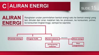 SLIDE 15
Rangkaian urutan pemindahan bentuk energi satu ke bentuk energi yang
lain dimulai dari sinar matahari lalu ke produsen, ke konsumen, primer,
ke konsumen tingkat tinggi, sampai ke saproba;
ALIRAN ENERGI
C
ALIRAN
ENERGI
Rantai makanan Aliran energi
Daur
biogeokimia
Jaring-jaring
makanan
Menentukan
Piramida ekologi Tingkat Trofik
 