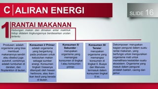 ALIRAN ENERGI SLIDE 16
C
RANTAI MAKANAN
1Hubungan makan dan dimakan antar makhluk
hidup didalam lingkungannya berdasarkan urutan
tertentu
Produsen: adalah
organisme yang bisa
membuat
makanannya sendiri
atau disebut juga
autotrof, contohnya
adalah tumbuhan di
daratan, dan
fitoplankton di lautan.
Konsumen I/ Primer:
adalah organisme
yang bergantung
pada produsen untuk
kebutuhan makan
sebagai sumber
energi. Konsumen
tingkat I biasanya
ditempati oleh hewan
herbivora, atau ikan-
ikan kecil yang berada
di lautan.
Konsumen II/
Sekunder :
merupakan
organisme yang
memangsa
konsumen di tingkat
I atau konsumen
primer.
Dekomposer: merupakan
bagian pengurai dalam suatu
rantai makanan, yang
berfungsi untuk menguraikan
organisme mati untuk
memelihara kestabilan suatu
ekosistem. Organisme yang
masuk dalam pengurai
andalah bakteri, cacing dan
jamur.
Konsumen III/
Tersier:
merupakan
organisme yang
memangsa
konsumen di
tingkat II. Buaya
dan Manusia
termasuk dalam
konsumen tingkat
II ini.
 