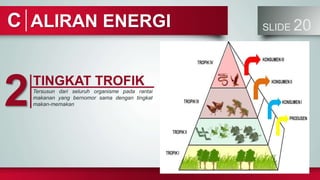 ALIRAN ENERGI SLIDE 20
C
TINGKAT TROFIK
Tersusun dari seluruh organisme pada rantai
makanan yang bernomor sama dengan tingkat
makan-memakan
2
 