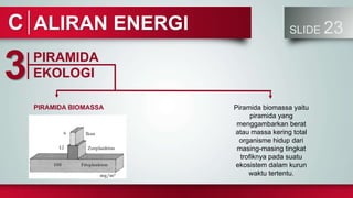 ALIRAN ENERGI SLIDE 23
C
PIRAMIDA
EKOLOGI
3
PIRAMIDA BIOMASSA Piramida biomassa yaitu
piramida yang
menggambarkan berat
atau massa kering total
organisme hidup dari
masing-masing tingkat
trofiknya pada suatu
ekosistem dalam kurun
waktu tertentu.
 