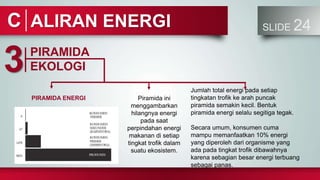 ALIRAN ENERGI SLIDE 24
C
PIRAMIDA
EKOLOGI
3
PIRAMIDA ENERGI Piramida ini
menggambarkan
hilangnya energi
pada saat
perpindahan energi
makanan di setiap
tingkat trofik dalam
suatu ekosistem.
Jumlah total energi pada setiap
tingkatan trofik ke arah puncak
piramida semakin kecil. Bentuk
piramida energi selalu segitiga tegak.
Secara umum, konsumen cuma
mampu memanfaatkan 10% energi
yang diperoleh dari organisme yang
ada pada tingkat trofik dibawahnya
karena sebagian besar energi terbuang
sebagai panas.
 