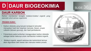DAUR BIOGEOKIMIA SLIDE 36
D
DAUR KARBON
Karbon membentuk keragka molekul-molekul organik yang
esensial untuk semua organisme
PROSES KUNCI
• Karbon dioksida yang banyak terdapat di atmosfer
merupakan hasil dari respirasi manusia, hewan, erupsi
vulkanik (letusan gunung), dan hasil pembakaran.
• Fotosintesis pada tumbuhan menggunakan karbon dioksida
sebagai bahan bakunya untuk membentuk molekul organik.
• Molekul organik, seperti selulosa dan karbohidrat lainnya
akan digunakan oleh hewan dan manusia melalui proses.
 